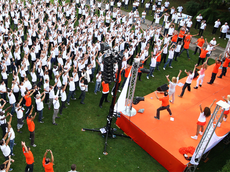 animation team building flash mob-3